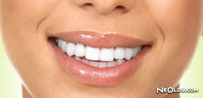 Rüyada Beyaz Diş Görmek Ne Anlama Gelir? fiçin Rüyada Beyaz Kuru Soğan Görmek Ne Anlama Gelir